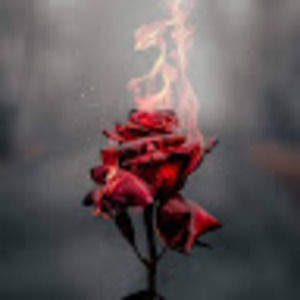 Meet your Posher, Melvin